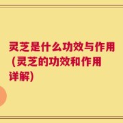 灵芝是什么功效与作用 (灵芝的功效和作用详解)