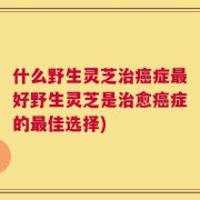 什么野生灵芝治癌症最好野生灵芝是治愈癌症的最佳选择)