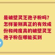 是破壁灵芝孢子粉吗？怎样鉴别真正的有效成份和纯度高的破壁灵芝孢子粉在哪能买到