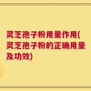 灵芝孢子粉用量作用(灵芝孢子粉的正确用量及功效)