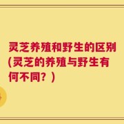 灵芝养殖和野生的区别(灵芝的养殖与野生有何不同？)