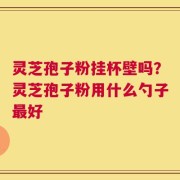 灵芝孢子粉挂杯壁吗？灵芝孢子粉用什么勺子最好