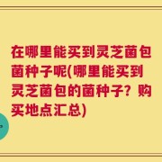 在哪里能买到灵芝菌包菌种子呢(哪里能买到灵芝菌包的菌种子？购买地点汇总)