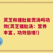 灵芝和猪肚能煲汤吗功效(灵芝猪肚汤：营养丰富，功效倍增!)