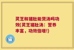 灵芝和猪肚能煲汤吗功效(灵芝猪肚汤：营养丰富，功效倍增!)