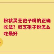 粉状灵芝孢子粉的正确吃法？灵芝孢子粉怎么吃最好