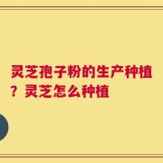 灵芝孢子粉的生产种植？灵芝怎么种植