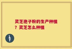 灵芝孢子粉的生产种植？灵芝怎么种植