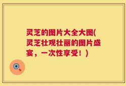 灵芝的图片大全大图(灵芝壮观壮丽的图片盛宴，一次性享受！)