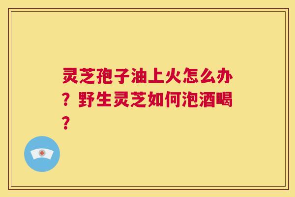 灵芝孢子油上火怎么办？野生灵芝如何泡酒喝？  第1张
