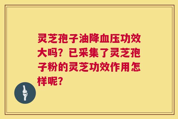 灵芝孢子油降血压功效大吗?已采集了灵芝孢子粉的灵芝功效作用怎样呢? 第1张 灵芝孢子油降血压功效大吗?已采集了灵芝孢子粉的灵芝功效作用怎样呢? 第1张