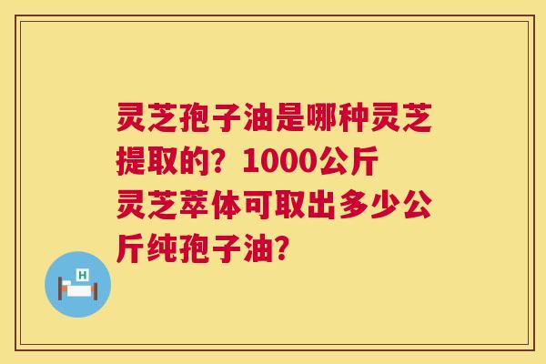 灵芝孢子油是哪种灵芝提取的？1000公斤灵芝萃体可取出多少公斤纯孢子油？  第1张