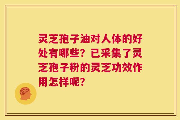 灵芝孢子油对人体的好处有哪些？已采集了灵芝孢子粉的灵芝功效作用怎样呢？  第1张