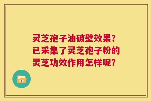 灵芝孢子油破壁效果?已采集了灵芝孢子粉的灵芝功效作用怎样呢? 第1张 灵芝孢子油破壁效果?已采集了灵芝孢子粉的灵芝功效作用怎样呢? 第1张