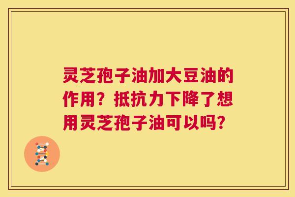灵芝孢子油加大豆油的作用?抵抗力下降了想用灵芝孢子油可以吗? 第1张 灵芝孢子油加大豆油的作用?抵抗力下降了想用灵芝孢子油可以吗? 第1张