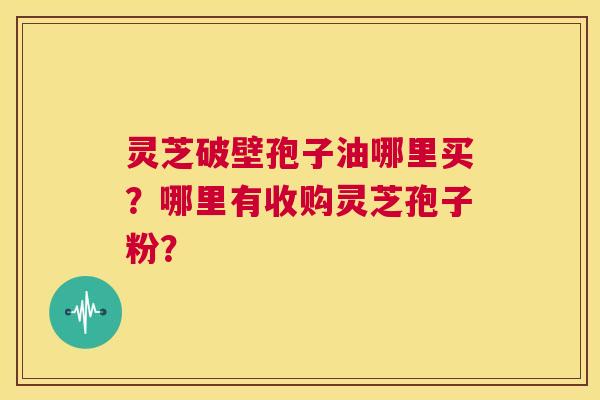 灵芝破壁孢子油哪里买?哪里有收购灵芝孢子粉? 第1张 灵芝破壁孢子油哪里买?哪里有收购灵芝孢子粉? 第1张
