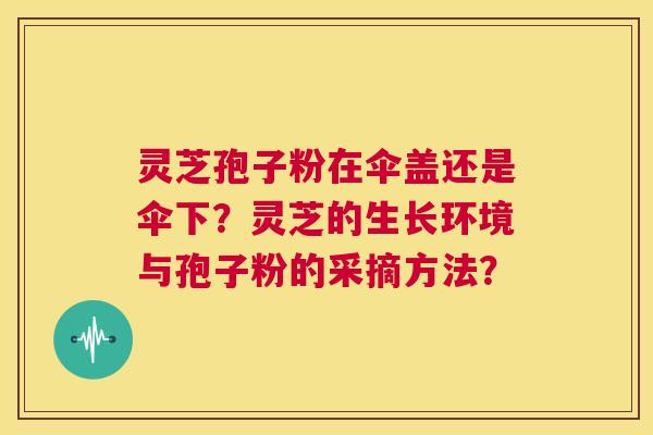 灵芝孢子粉在伞盖还是伞下?灵芝的生长环境与孢子粉的采摘方法? 第1张 灵芝孢子粉在伞盖还是伞下?灵芝的生长环境与孢子粉的采摘方法? 第1张
