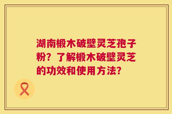 湖南椴木破壁灵芝孢子粉?了解椴木破壁灵芝的功效和使用方法? 第1张 湖南椴木破壁灵芝孢子粉?了解椴木破壁灵芝的功效和使用方法? 第1张