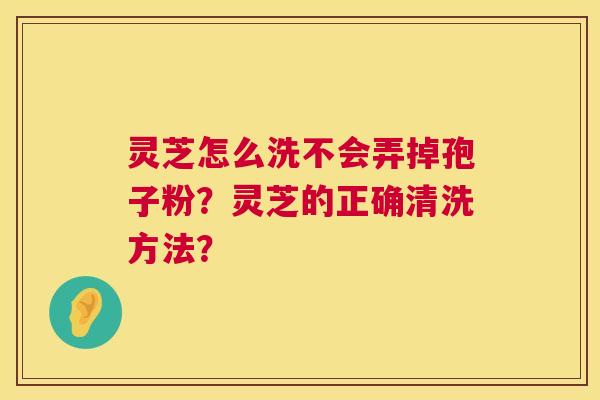 灵芝怎么洗不会弄掉孢子粉？灵芝的正确清洗方法？  第1张
