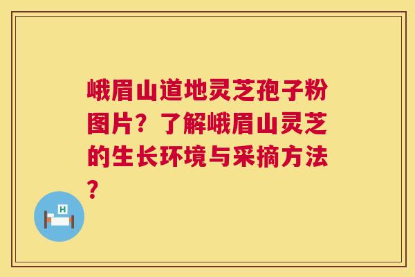 峨眉山道地灵芝孢子粉图片？了解峨眉山灵芝的生长环境与采摘方法？  第1张