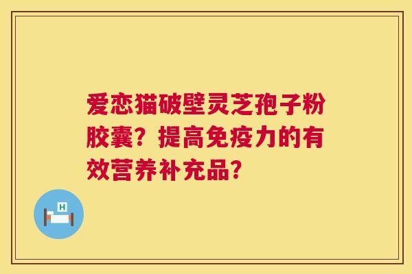 爱恋猫破壁灵芝孢子粉胶囊?提高免疫力的有效营养补充品? 第1张 爱恋猫破壁灵芝孢子粉胶囊?提高免疫力的有效营养补充品? 第1张