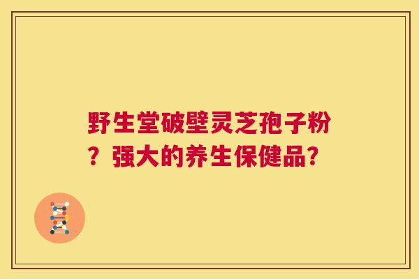 野生堂破壁灵芝孢子粉?强大的养生保健品? 第1张 野生堂破壁灵芝孢子粉?强大的养生保健品? 第1张