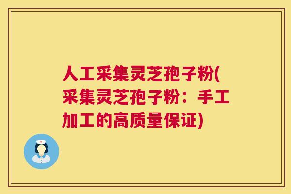 人工采集灵芝孢子粉(采集灵芝孢子粉：手工加工的高质量保证)  第1张