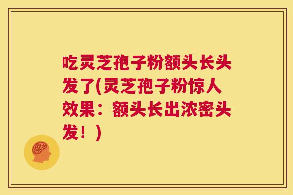 吃灵芝孢子粉额头长头发了(灵芝孢子粉惊人效果:额头长出浓密头发!) 第1张 吃灵芝孢子粉额头长头发了(灵芝孢子粉惊人效果:额头长出浓密头发!) 第1张