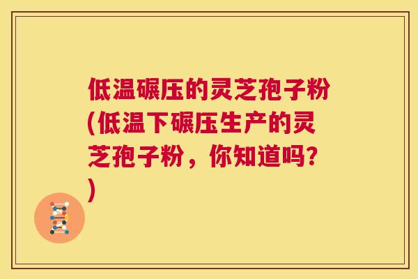 低温碾压的灵芝孢子粉(低温下碾压生产的灵芝孢子粉,你知道吗?) 第1张 低温碾压的灵芝孢子粉(低温下碾压生产的灵芝孢子粉,你知道吗?) 第1张
