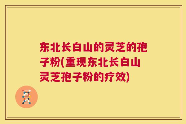 东北长白山的灵芝的孢子粉(重现东北长白山灵芝孢子粉的疗效)  第1张