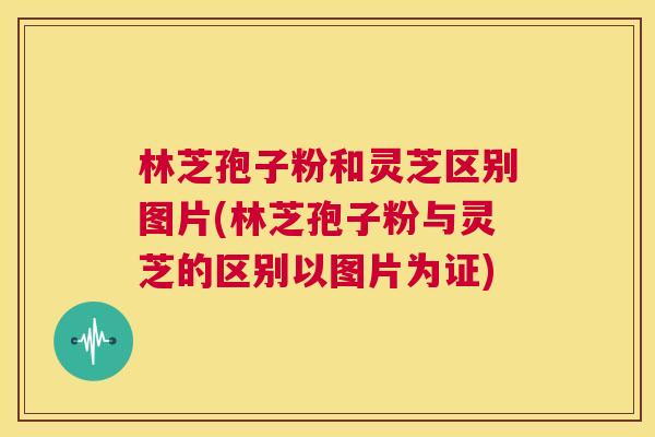 林芝孢子粉和灵芝区别图片(林芝孢子粉与灵芝的区别以图片为证) 第1张 林芝孢子粉和灵芝区别图片(林芝孢子粉与灵芝的区别以图片为证) 第1张