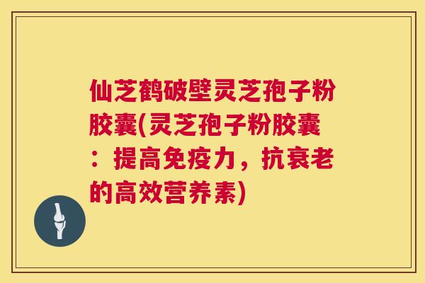 仙芝鹤破壁灵芝孢子粉胶囊(灵芝孢子粉胶囊：提高免疫力，抗衰老的高效营养素)  第1张