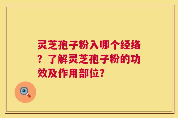 灵芝孢子粉入哪个经络?了解灵芝孢子粉的功效及作用部位? 第1张 灵芝孢子粉入哪个经络?了解灵芝孢子粉的功效及作用部位? 第1张