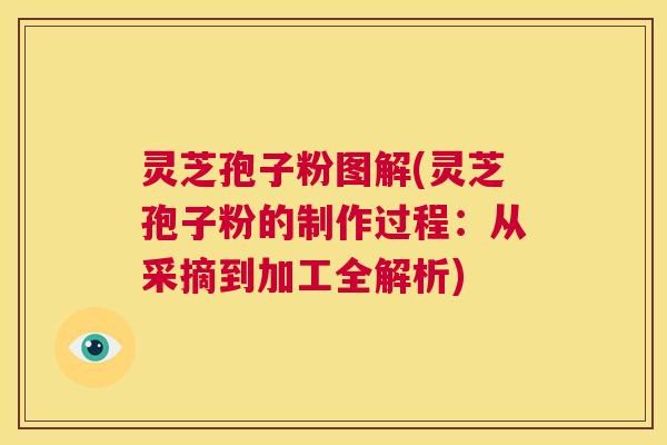 灵芝孢子粉图解(灵芝孢子粉的制作过程:从采摘到加工全解析) 第1张 灵芝孢子粉图解(灵芝孢子粉的制作过程:从采摘到加工全解析) 第1张