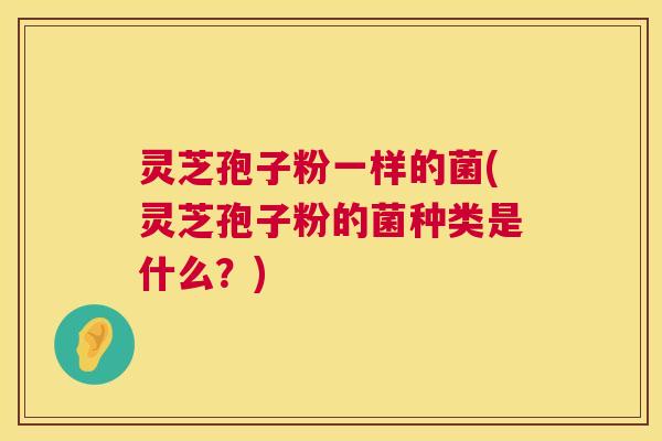 灵芝孢子粉一样的菌(灵芝孢子粉的菌种类是什么？)  第1张
