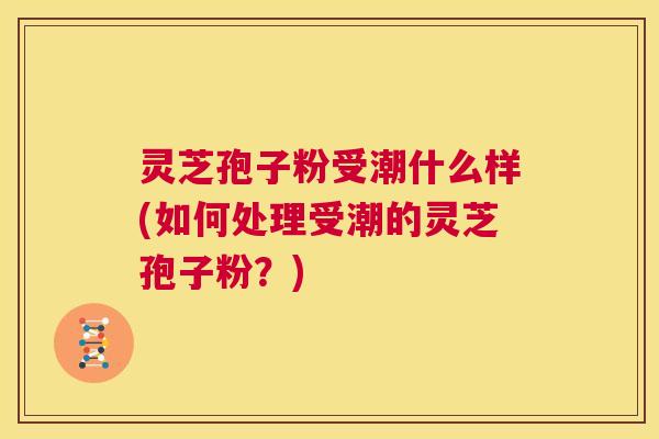 灵芝孢子粉受潮什么样(如何处理受潮的灵芝孢子粉?) 第1张 灵芝孢子粉受潮什么样(如何处理受潮的灵芝孢子粉?) 第1张
