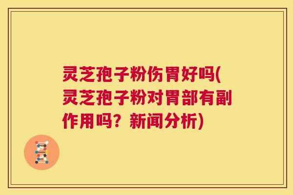 灵芝孢子粉伤胃好吗(灵芝孢子粉对胃部有副作用吗?新闻分析) 第1张 灵芝孢子粉伤胃好吗(灵芝孢子粉对胃部有副作用吗?新闻分析) 第1张