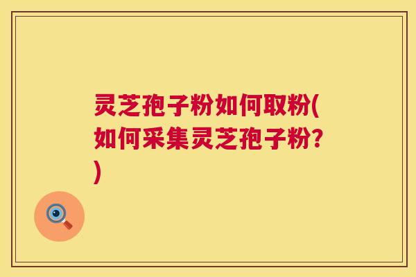 灵芝孢子粉如何取粉(如何采集灵芝孢子粉?) 第1张 灵芝孢子粉如何取粉(如何采集灵芝孢子粉?) 第1张