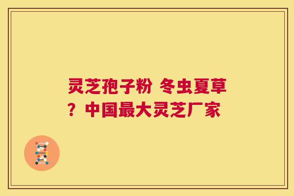 灵芝孢子粉 冬虫夏草?中国最大灵芝厂家 第1张 灵芝孢子粉 冬虫夏草?中国最大灵芝厂家 第1张