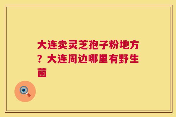 大连卖灵芝孢子粉地方?大连周边哪里有野生菌 第1张 大连卖灵芝孢子粉地方?大连周边哪里有野生菌 第1张