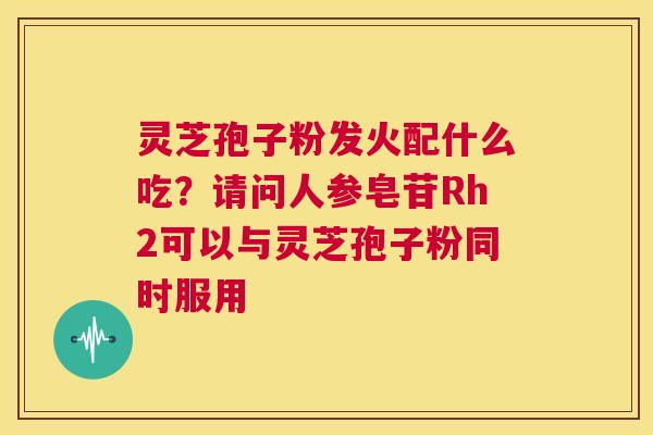 灵芝孢子粉发火配什么吃?请问人参皂苷Rh2可以与灵芝孢子粉同时服用 第1张 灵芝孢子粉发火配什么吃?请问人参皂苷Rh2可以与灵芝孢子粉同时服用 第1张