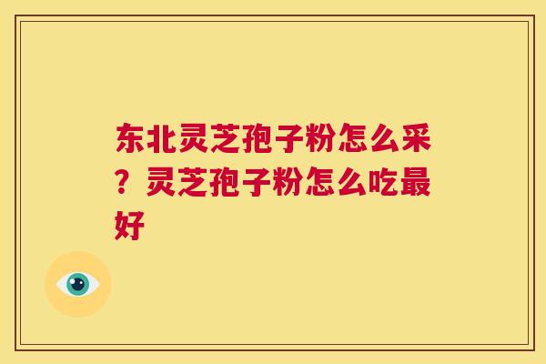 东北灵芝孢子粉怎么采?灵芝孢子粉怎么吃最好 第1张 东北灵芝孢子粉怎么采?灵芝孢子粉怎么吃最好 第1张