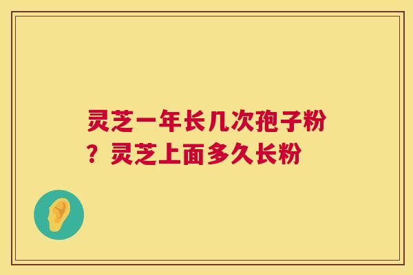 灵芝一年长几次孢子粉？灵芝上面多久长粉  第1张