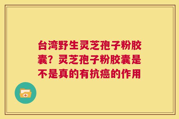 台湾野生灵芝孢子粉胶囊?灵芝孢子粉胶囊是不是真的有抗癌的作用 第1张 台湾野生灵芝孢子粉胶囊?灵芝孢子粉胶囊是不是真的有抗癌的作用 第1张