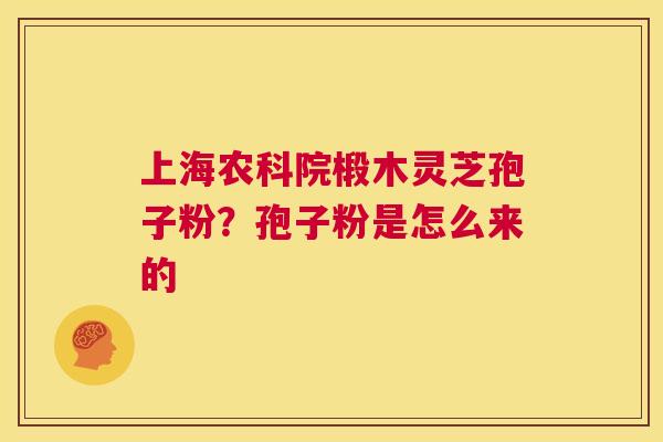 上海农科院椴木灵芝孢子粉?孢子粉是怎么来的 第1张 上海农科院椴木灵芝孢子粉?孢子粉是怎么来的 第1张