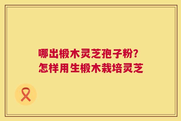 哪出椴木灵芝孢子粉?怎样用生椴木栽培灵芝 第1张 哪出椴木灵芝孢子粉?怎样用生椴木栽培灵芝 第1张