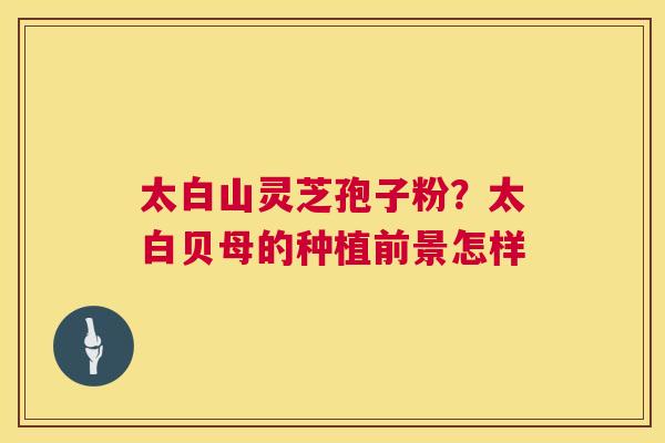 太白山灵芝孢子粉？太白贝母的种植前景怎样  第1张