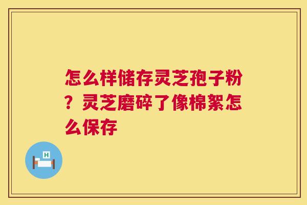 怎么样储存灵芝孢子粉?灵芝磨碎了像棉絮怎么保存 第1张 怎么样储存灵芝孢子粉?灵芝磨碎了像棉絮怎么保存 第1张