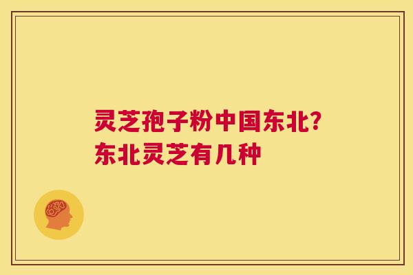 灵芝孢子粉中国东北?东北灵芝有几种 第1张 灵芝孢子粉中国东北?东北灵芝有几种 第1张