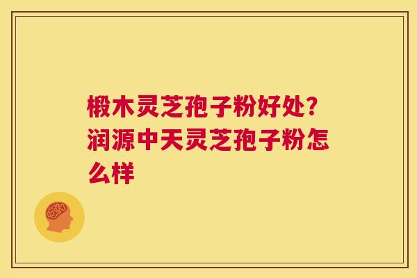椴木灵芝孢子粉好处？润源中天灵芝孢子粉怎么样  第1张